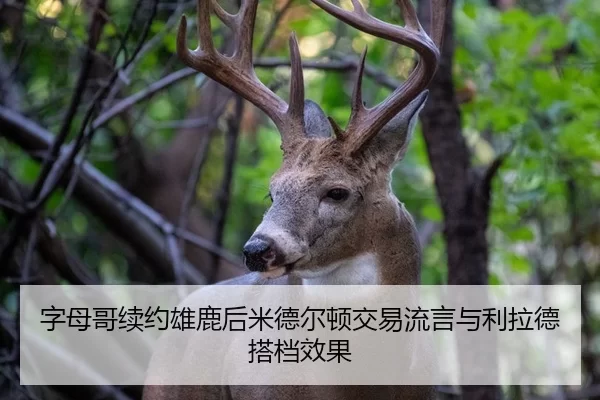 zi-mu-ge-xu-yue-xiong-lu-hou-mi-de-er-dun-jiao-yi-liu-yan-yu-li-la-de-da-dang-xiao-guo-2-527.jpg