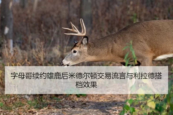字母哥续约雄鹿后米德尔顿交易流言与利拉德搭档效果